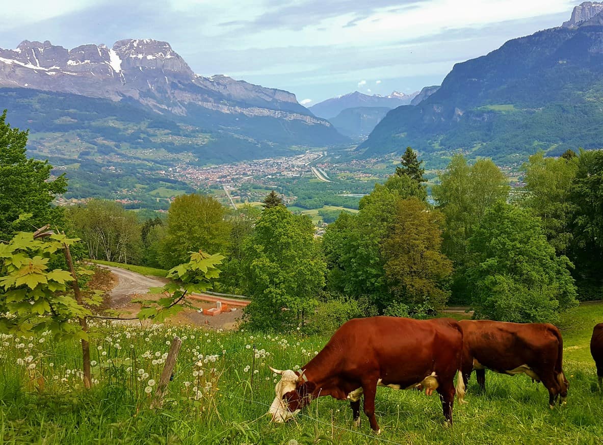 French Alps Trip Report: Views from the road