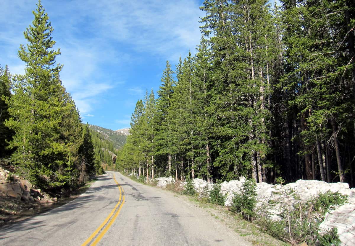 The road to Independence Pass