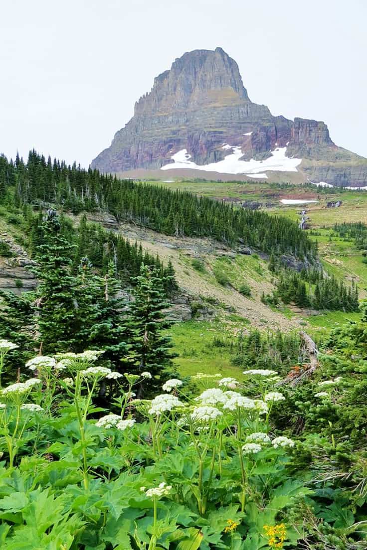 Glacier National Park in Summer - Glacier National Park Itinerary: A complete and illustrated day-by-day itinerary for visiting the most beautiful national park in the US!