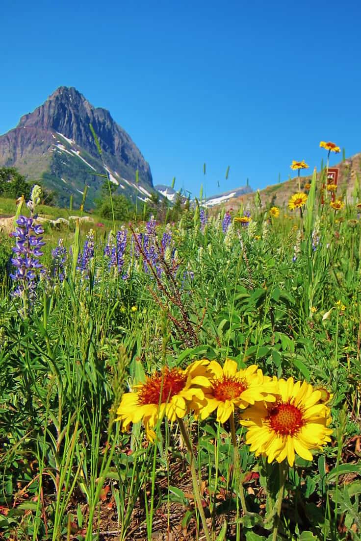 Glacier National Park Itinerary: A complete and illustrated day-by-day itinerary for visiting the most beautiful national park in the US!