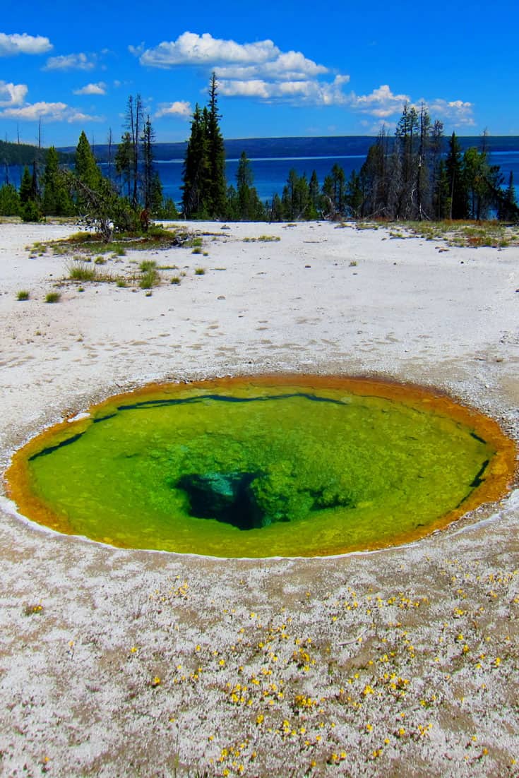 Yellowstone West Thumb Basin: 20 pictures that will make you want to visit!