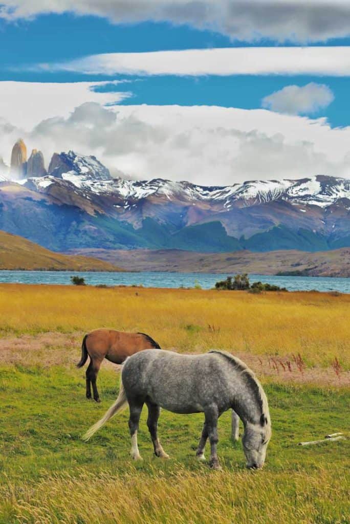 19 Stunning Photos Of Patagonia