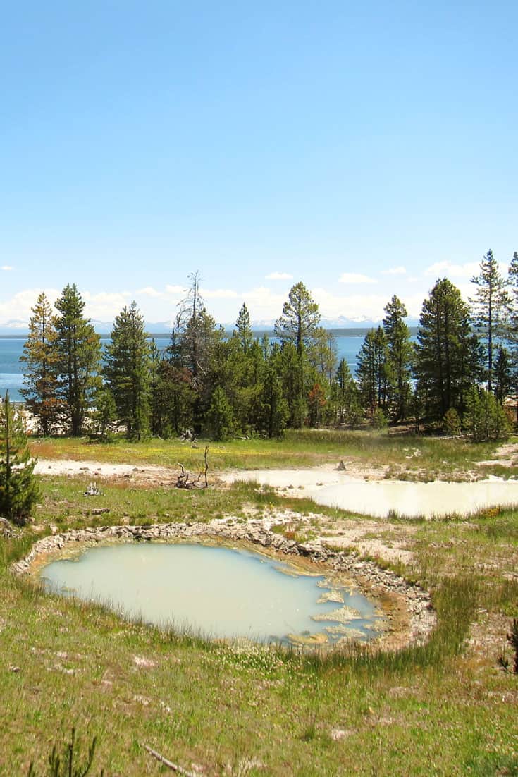 Yellowstone West Thumb Basin: 20 pictures that will make you want to visit! The mud paint pots.