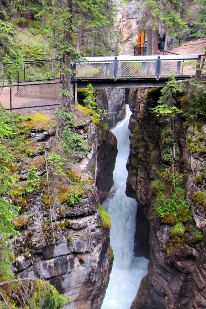 42 Best Family Hikes in the Canadian Rockies: Maligne Canyon