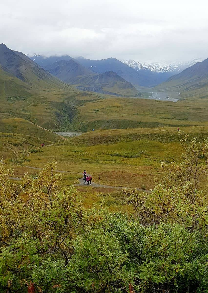 Views from Eielson Visitor Center - Denali National Park Trip Report