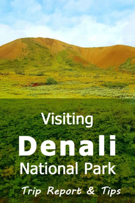 Visiting Denali National Park - Trip Report & Tips
