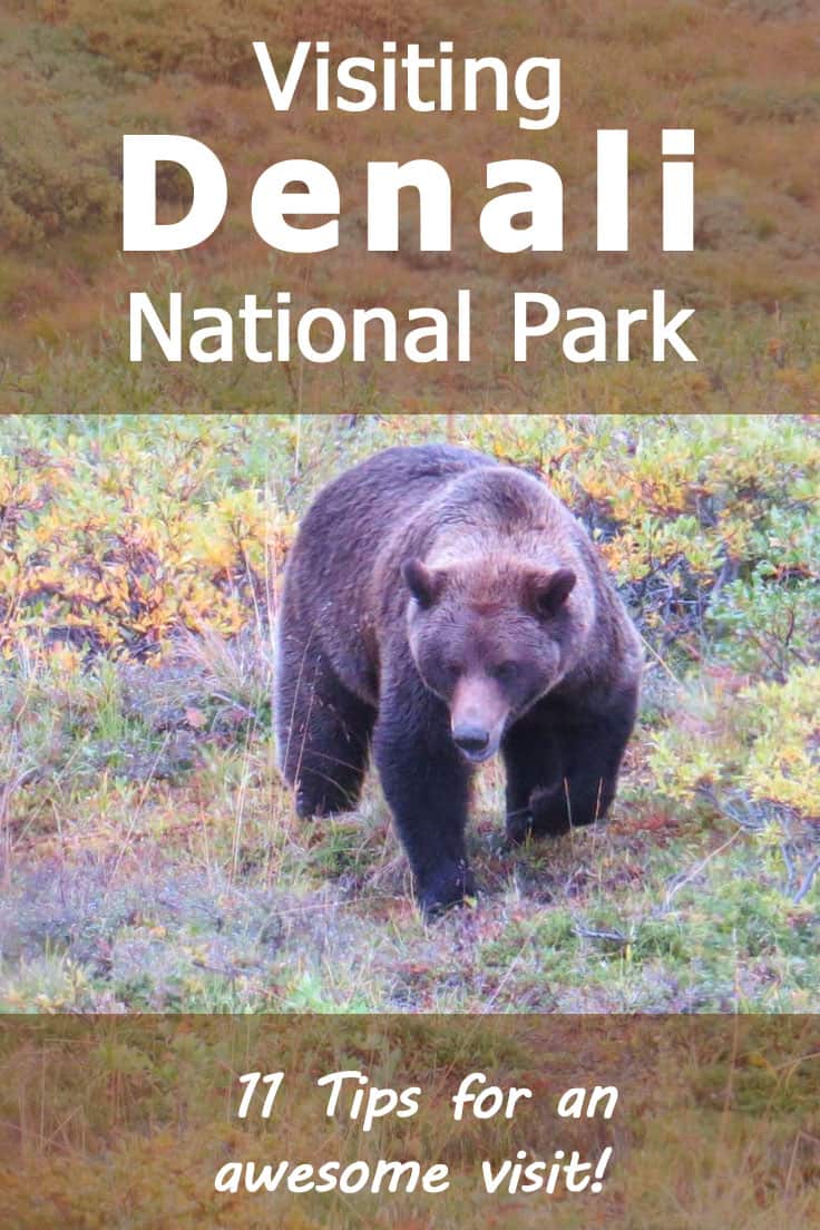 Visiting Denali National Park - 11 Tips for an Awesome Visit