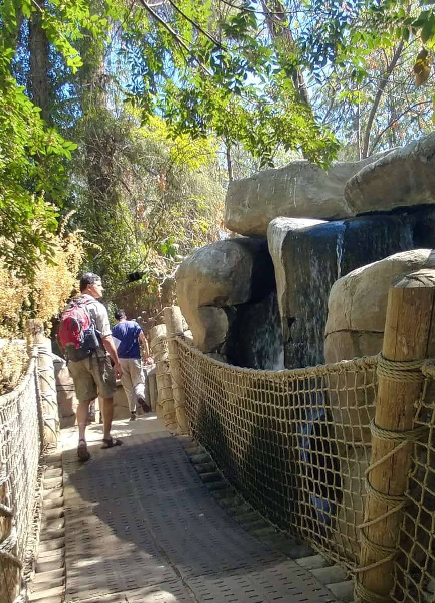 11 Fantastic Reasons to Visit The Fresno Chaffee Zoo: Great landscaping - a canopy walk in the rainforest enclosure