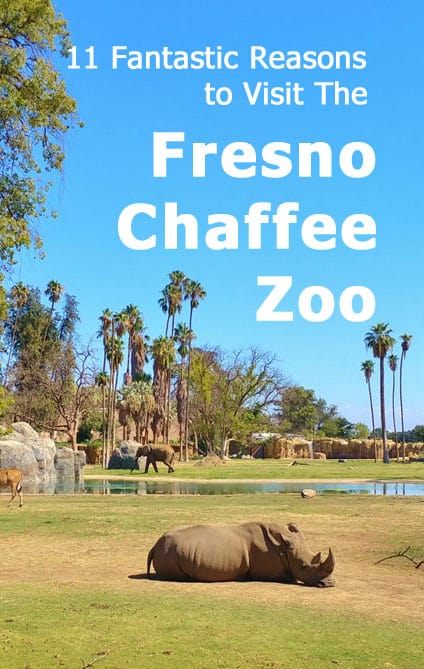 11 Fantastic Reasons to Visit The Fresno Chaffee Zoo