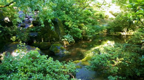 Read more about the article 19 Beautiful Moments I Captured in the Portland Japanese Garden