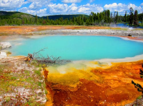 Read more about the article Top 10 Things to Do in Yellowstone National Park (With Photos)
