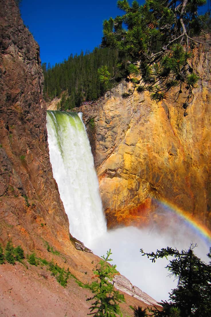 10 Top things to do in Yellowstone National Park: Grand Canyon of the Yellowstone