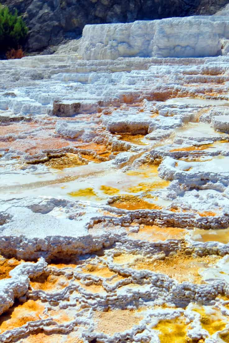 10 Top things to do in Yellowstone National Park: Mammoth Terrace
