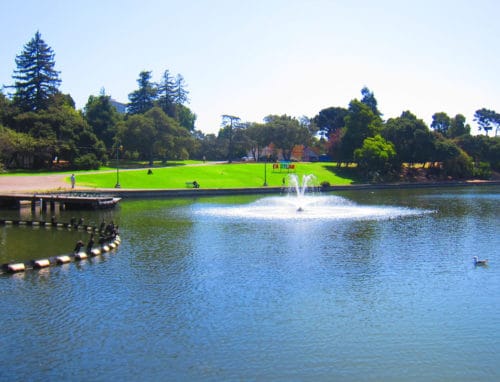 Read more about the article 11 Fun Things to Do in Oakland, California