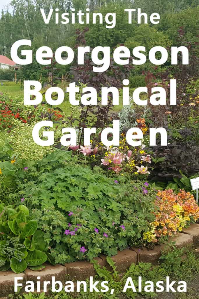 Visiting the Georgeson Botanical Garden in Fairbank, Alaska 