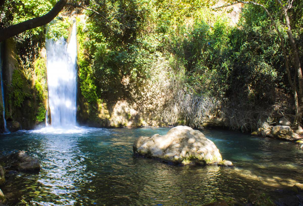 Read more about the article The Banias Nature Reserve, Israel: A Complete Visitor’s Guide