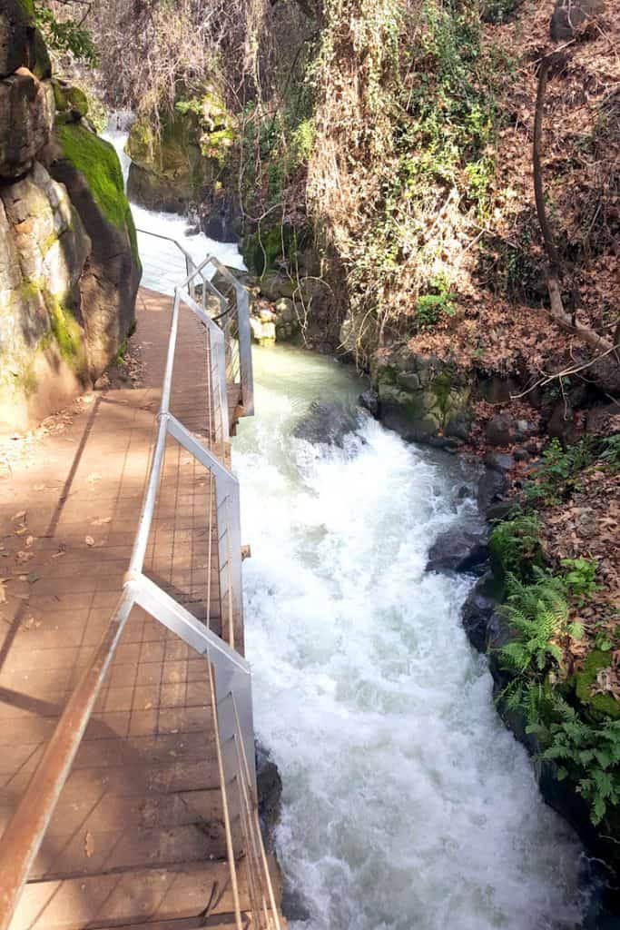 Banias Suspended Trail