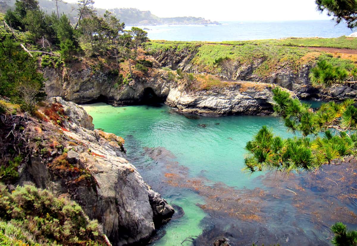Read more about the article Best Things to do in Monterey, CA (A Complete Visitor’s Guide)