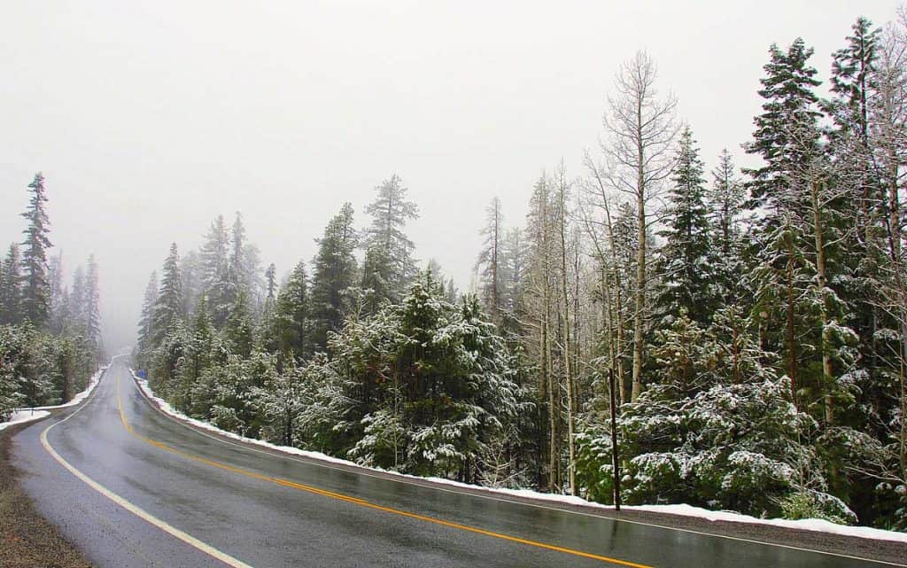 California State Route 88—Carson Pass Highway in a May snowstorm, in the Sierra Nevada.