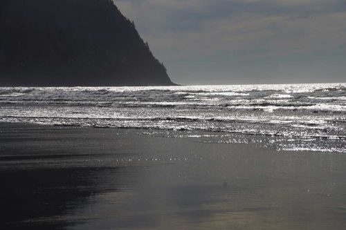 Read more about the article 7 Best Things to Do in Tillamook, Oregon (A Visitor’s Guide)