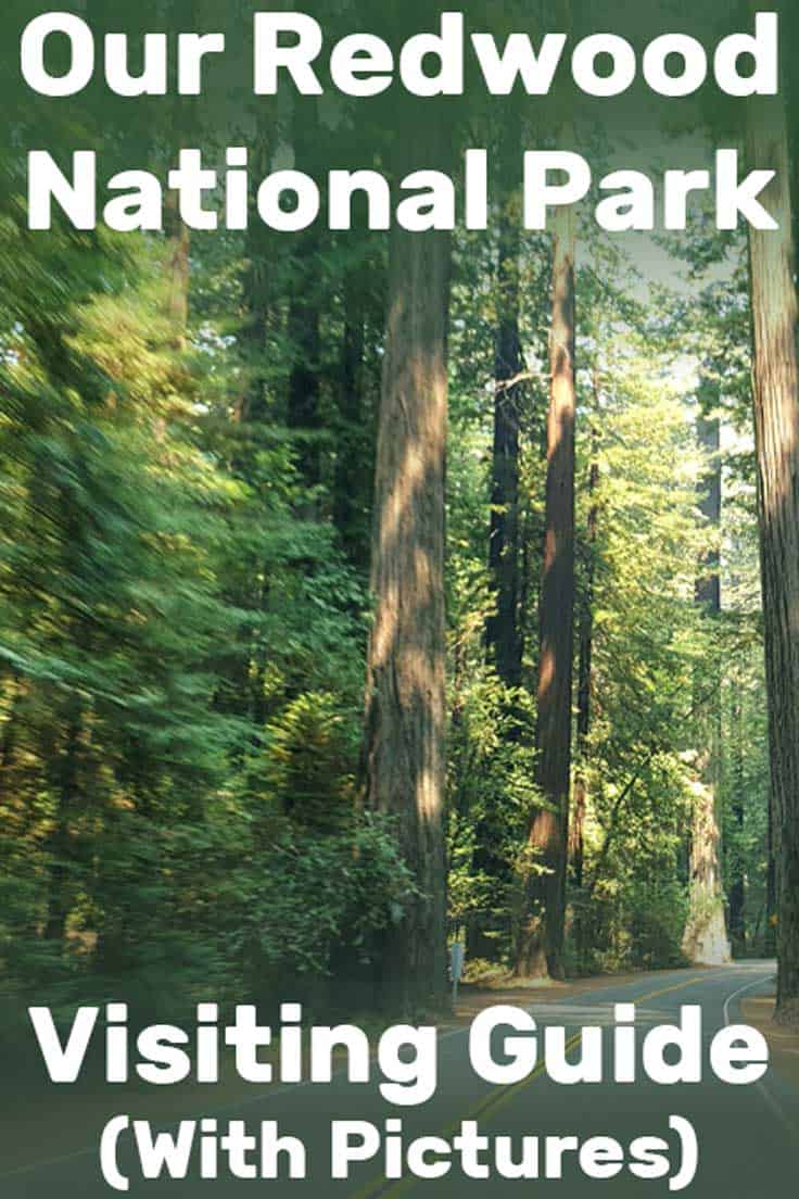 Our Redwood National Park Visiting Guide (With Pictures!)