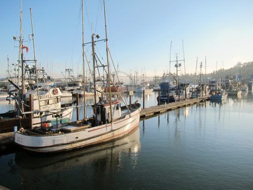 Read more about the article Top 10 Things to Do and See in Newport, or (Based on Our Experience)