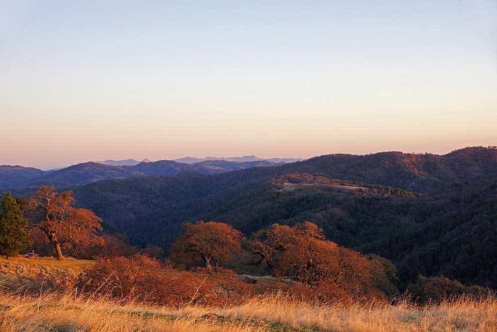Morgan Hill, Henry W. Coe State Wilderness Park