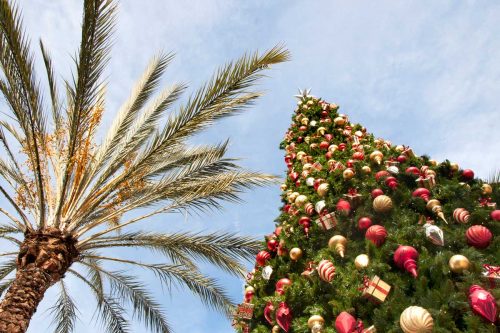 11 Things to Do in California in December (Vacation Ideas List)