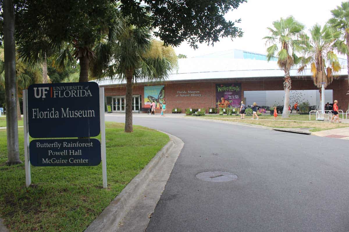 Entrance to Florida Museum of Natural History
