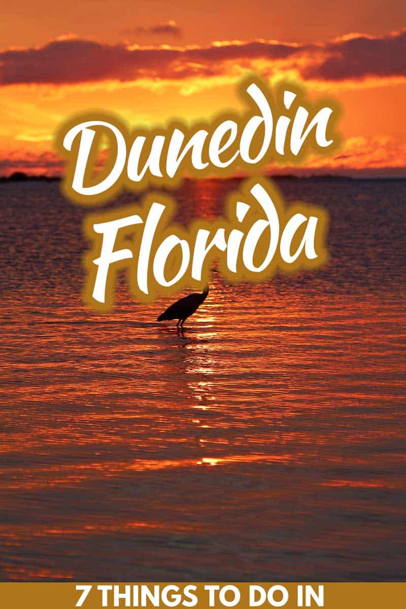 7 Best Things to Do in Dunedin, Florida