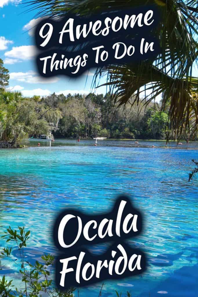 9 Awesome Things To Do in Ocala, Florida