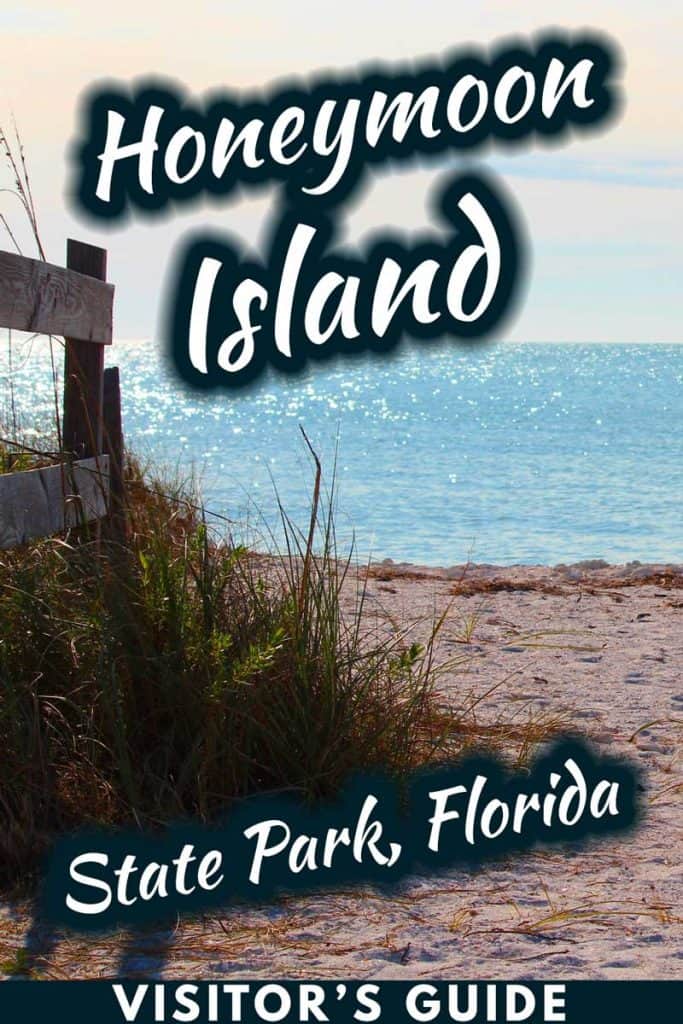 Honeymoon Island State Park, Florida: Visitor's Guide