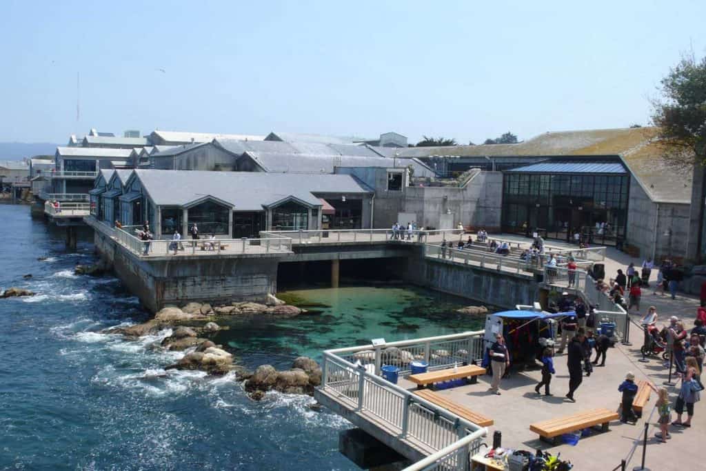 Buzzling Aquarium of Monterey, California
