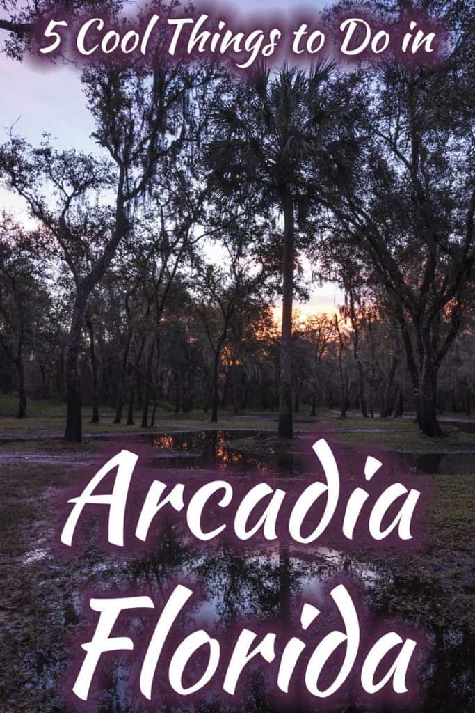 5 Cool Things to Do in Arcadia, Florida