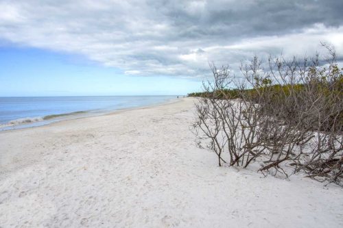 Honeymoon Island State Park, Florida: Visitor's Guide