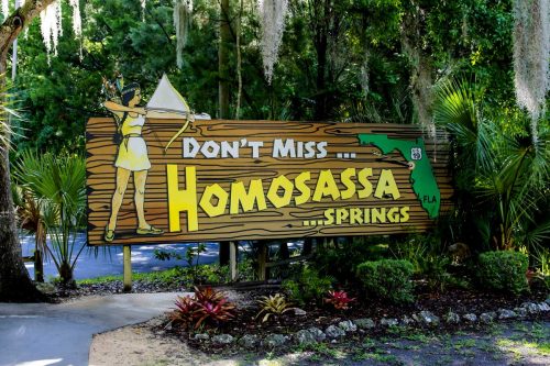 Read more about the article Homosassa Springs, Florida: A Visitor’s Guide