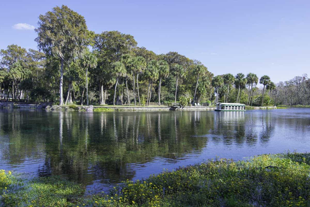 Read more about the article Silver Springs State Park: A Visitor’s Guide