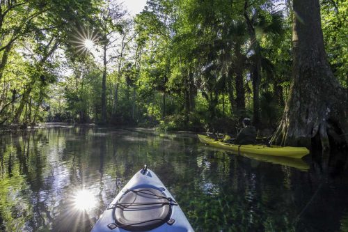9 Awesome Things To Do in Ocala, Florida