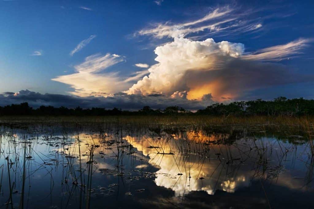 Everglade fields on Florida