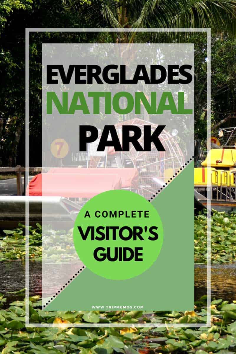 Everglades National Park A Complete Visitor's Guide