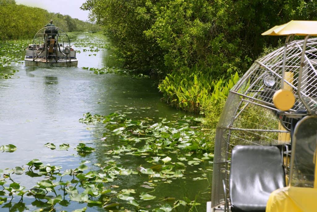 Motor boat ride in the Florida everglades