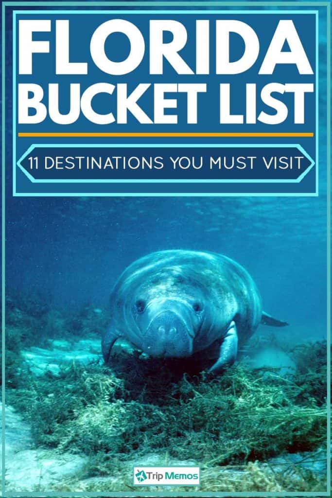 Florida Bucket List: 11 Destinations You Must Visit