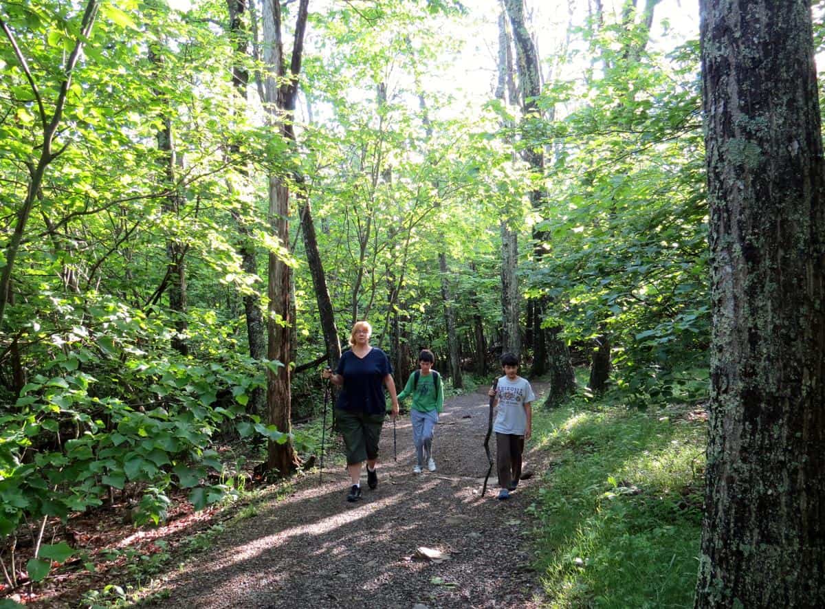 Mother walking along with sons on the Appalachian mountain trails
