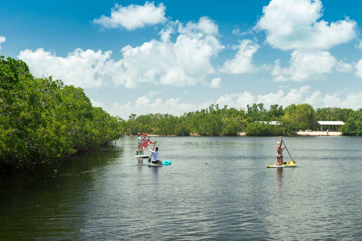 People standing at surf boards while paddling at John Pennekamp coral reef state park