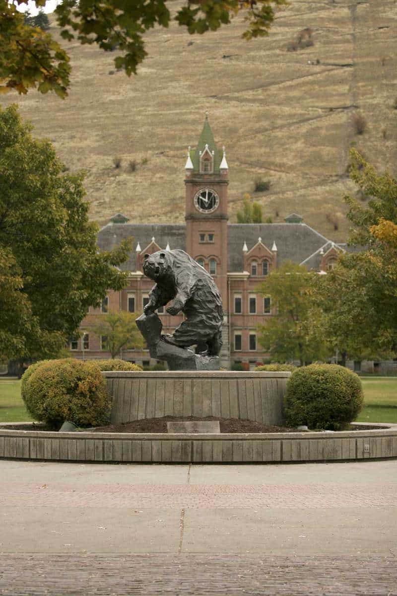 The grizzly bear sculpture at the campus of University of Montana in Missoula, Montana