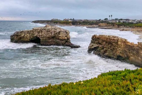 Read more about the article Natural Bridges State Beach, CA – A Visitor’s Guide