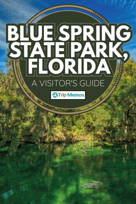 summer view of Blue Springs State Park in Florida with clear river waters. Blue Spring State Park FL A Visitor's Guide