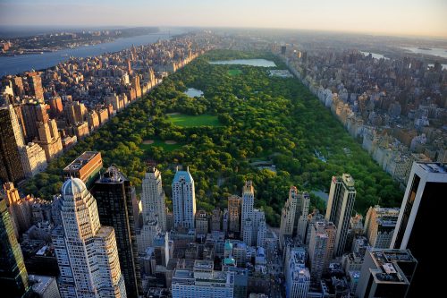 An aerial photo of central park at Manhattan, New York