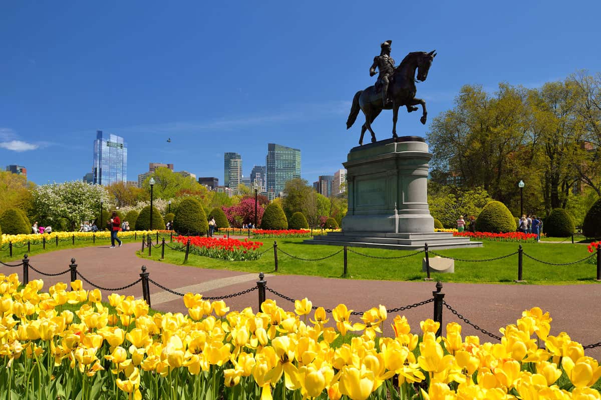 Boston Public Garden in the spring, scenic view. Washington Statue (1864), tulips and tree flowers blooming