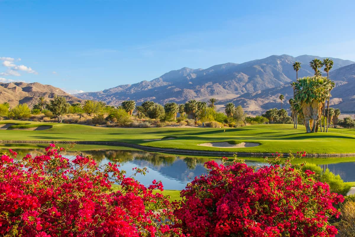 The gorgeous landscaping of Palm Springs showing the valley from a far